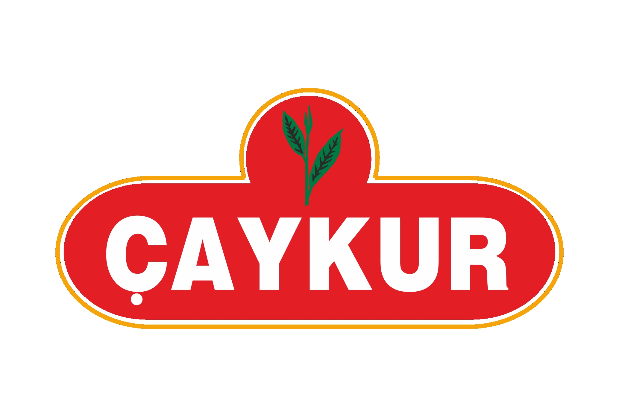 Çaykur